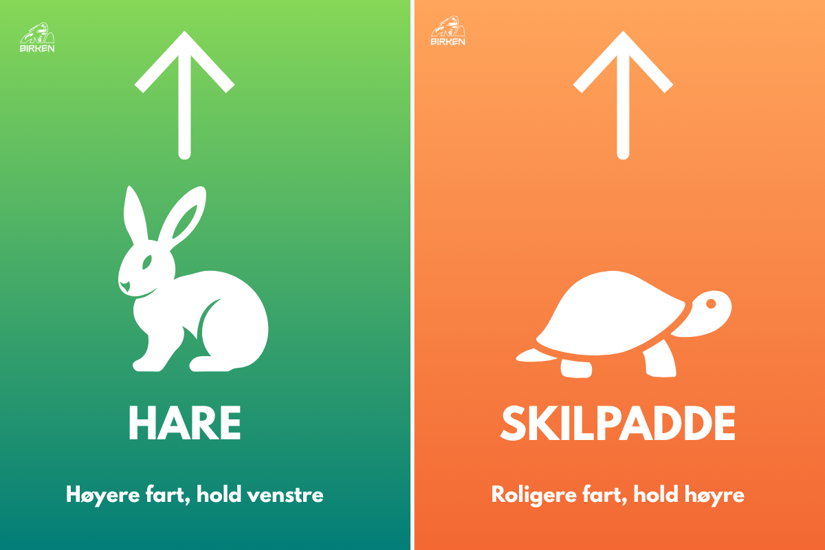 Uten navn (1200 x 800 px)