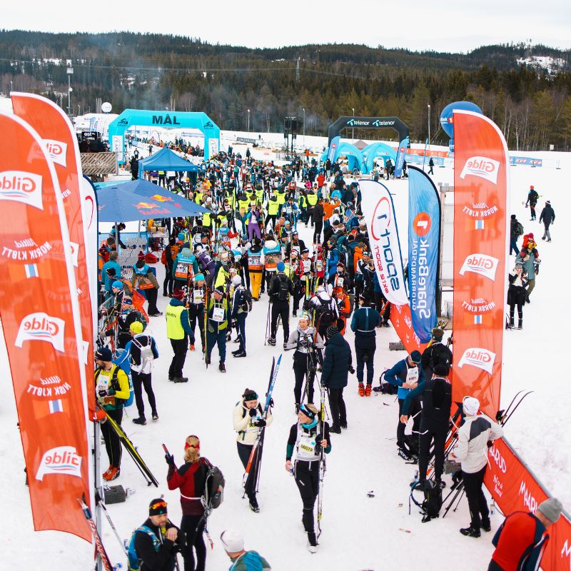 birken cover  nettside 800x800 (11)