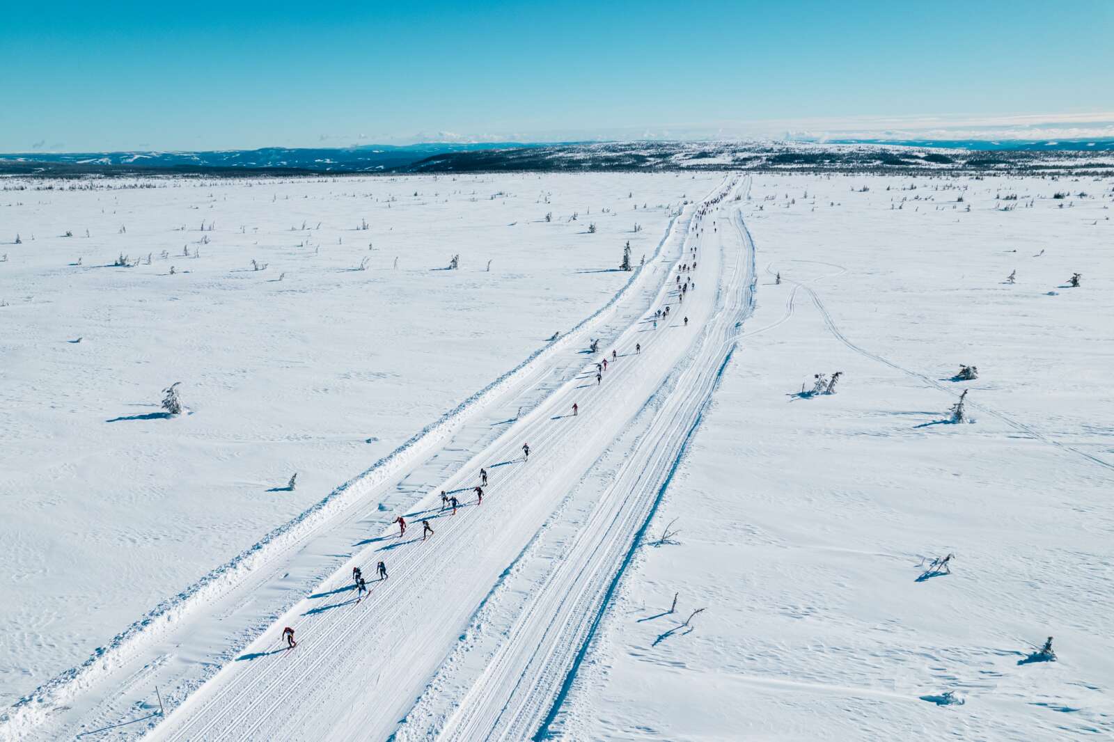 Fotograf Emil Sjåstad Nyeng (1 of 1)-3
