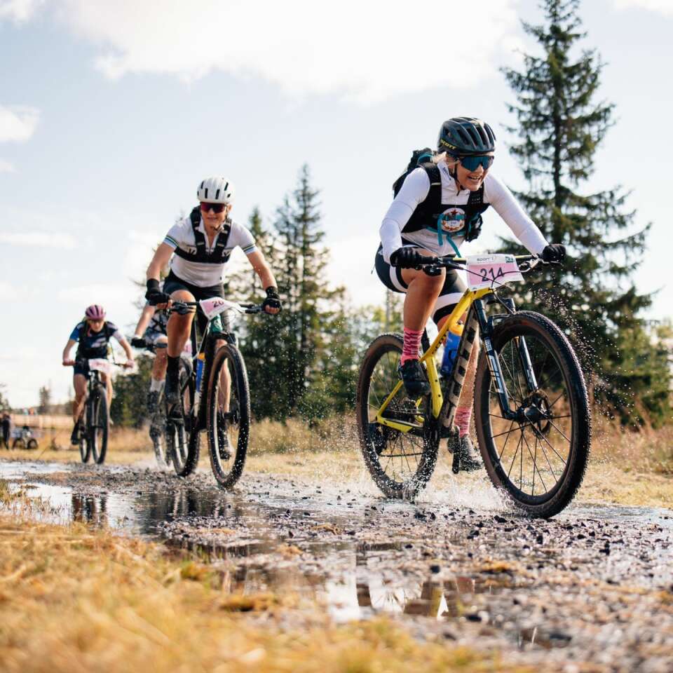 Design uten navn (1)