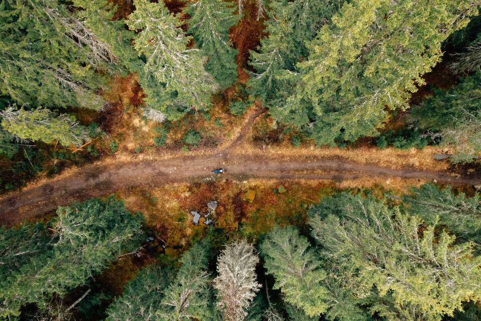 Gravelbirken(21of32)