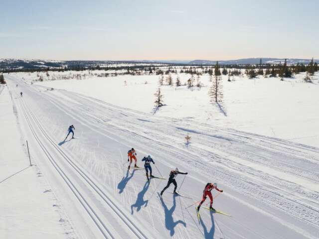 cover nettside (1400 x 700 px) (2)