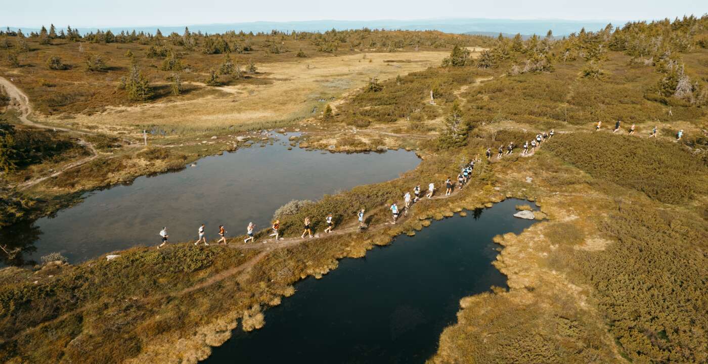 Birken(2of6)Fotograf: Emil S. Nyeng