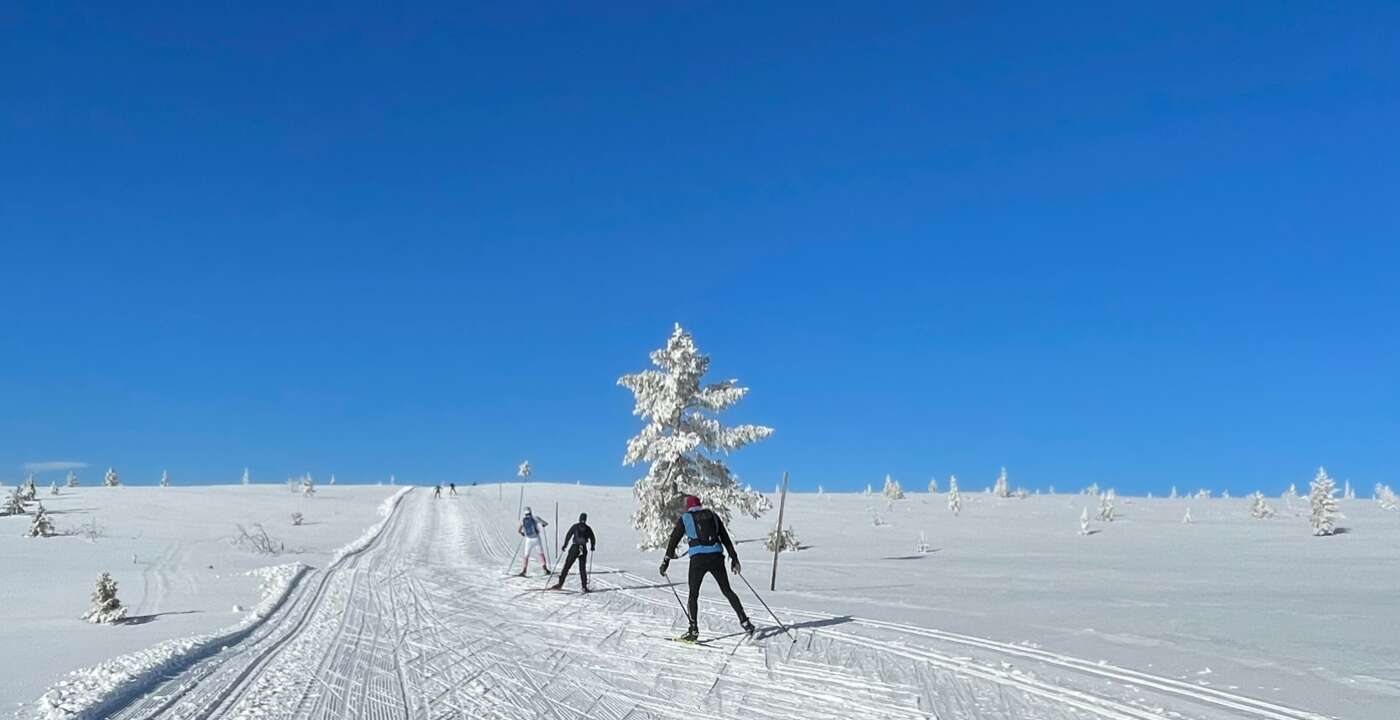 SkøyteBirken 1400x720