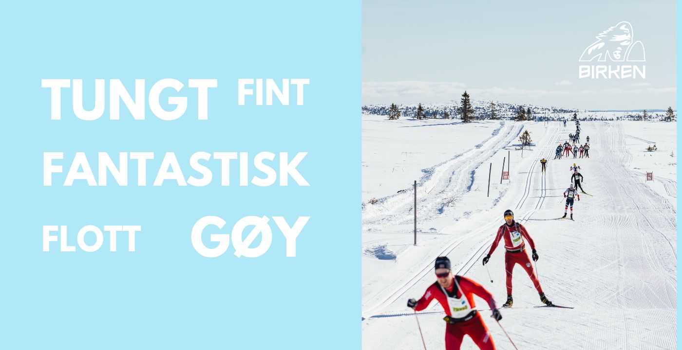 Uten navn (1400 x 720 px) (4)