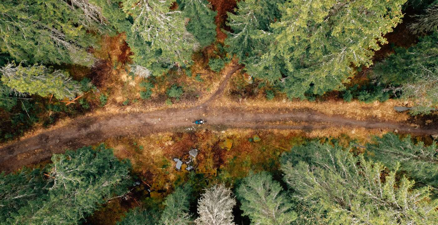 Gravelbirken(21of32)