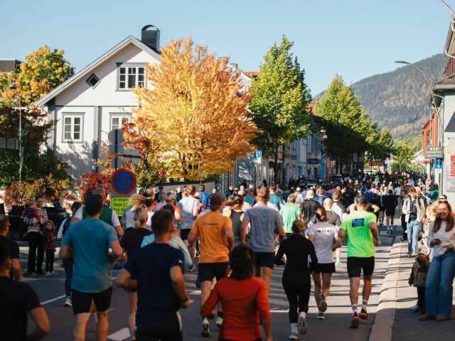 Uten navn (1400 x 900 px) (5)