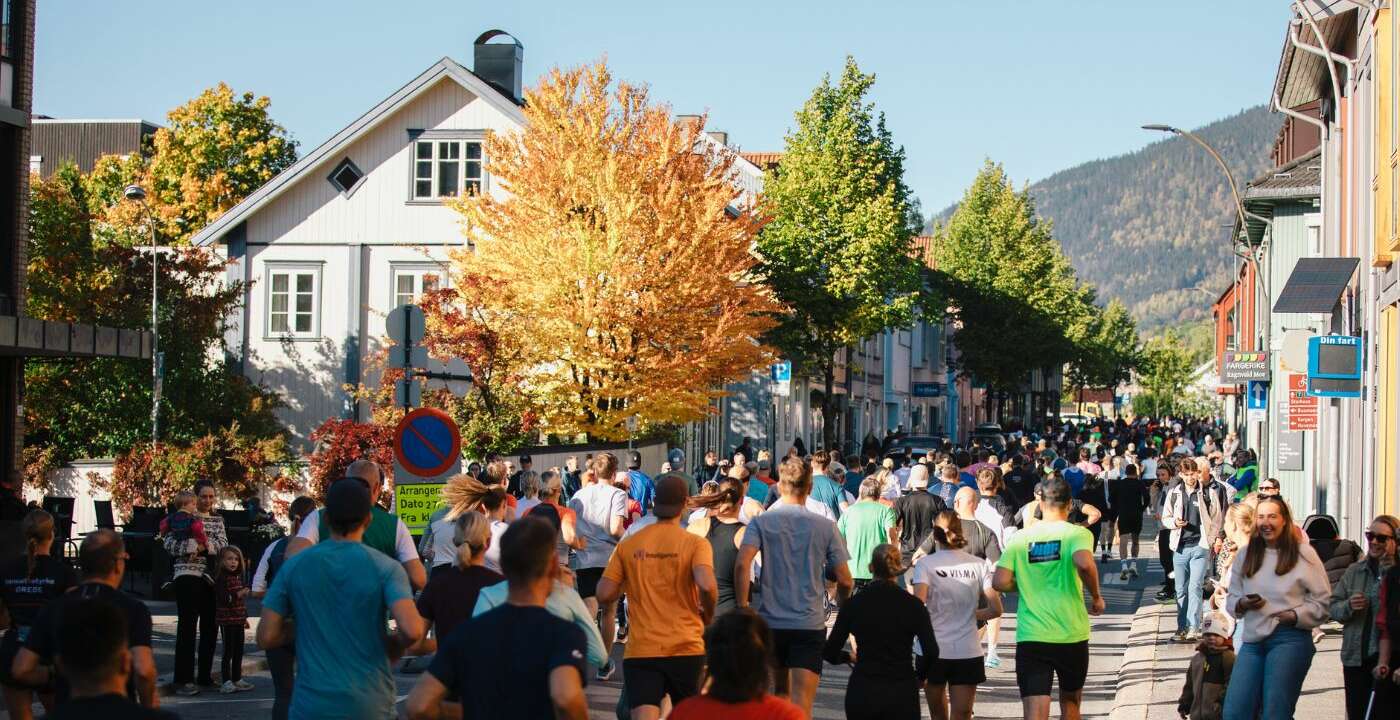 Uten navn (1400 x 900 px) (5)