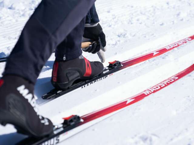 rottefella move birken (1400 x 700 px)