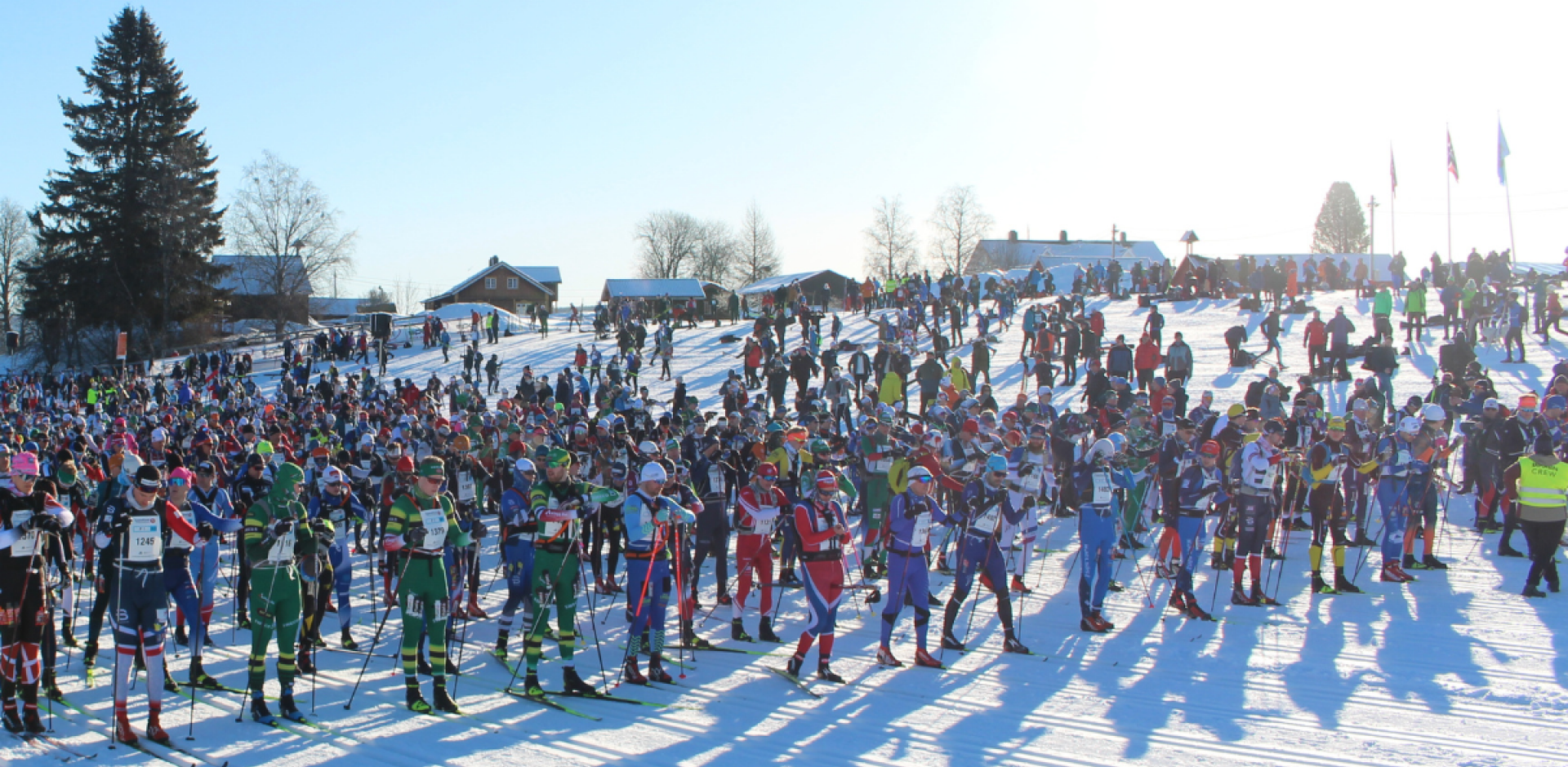 Design uten navn (5)