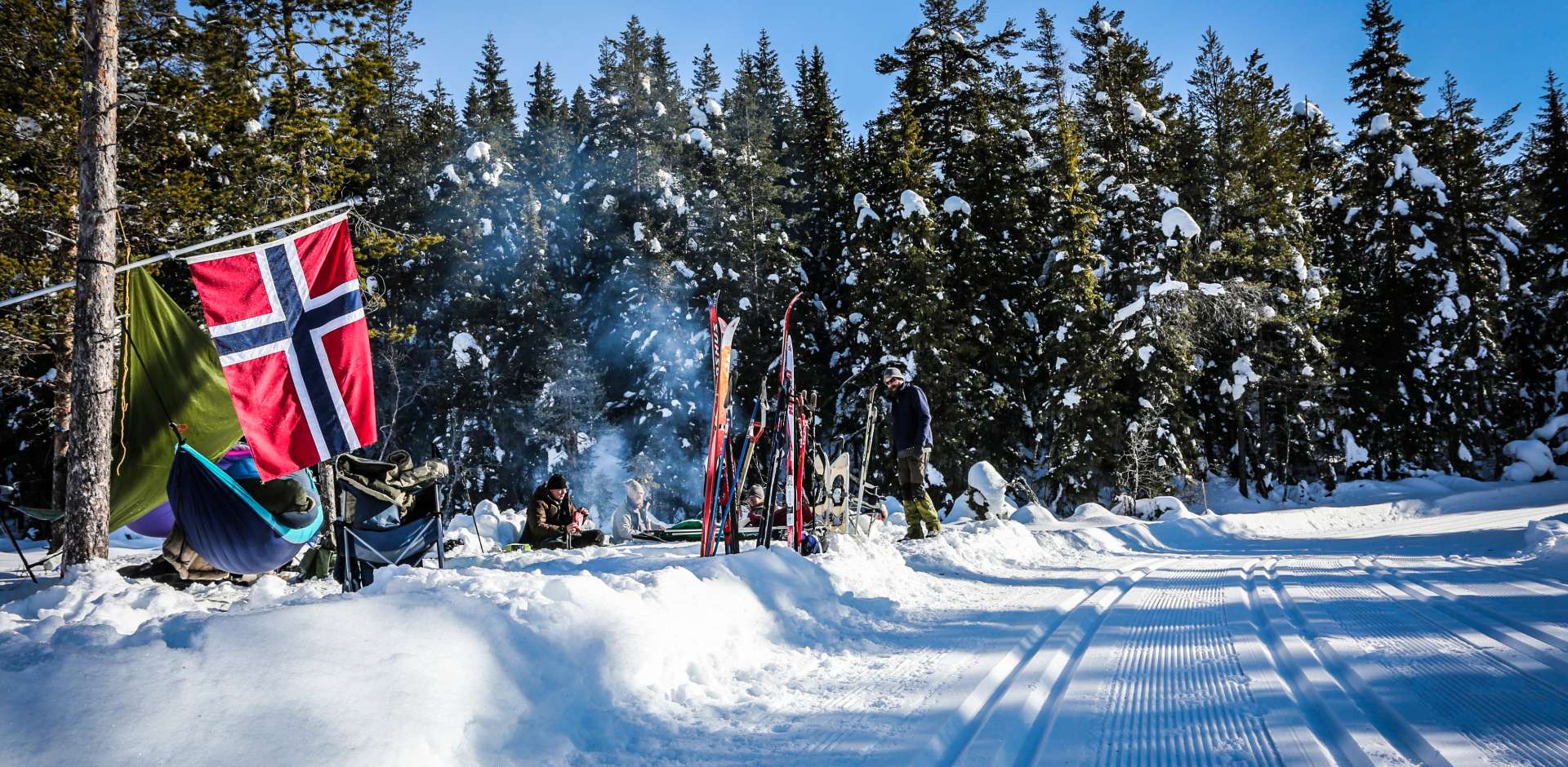 sportograf-flagg og publikum